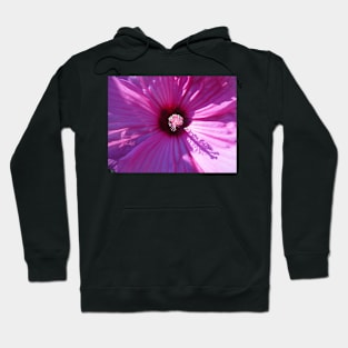 Purple Hibiscus Hoodie